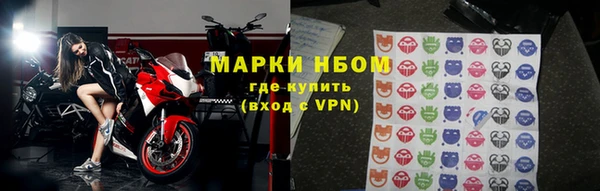 прущие грибы Аркадак