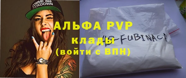 прущие грибы Аркадак