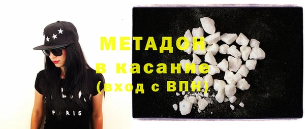 прущие грибы Аркадак