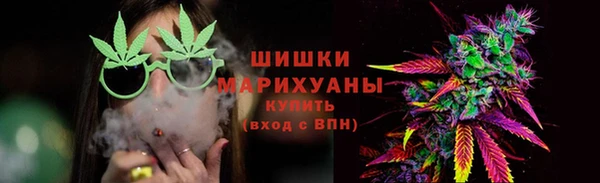 прущие грибы Аркадак