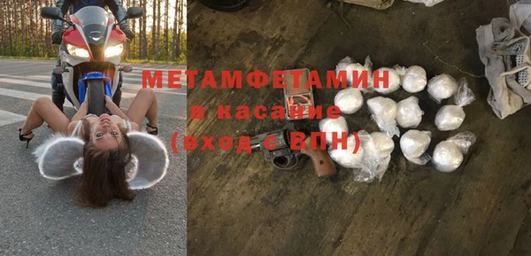 прущие грибы Аркадак