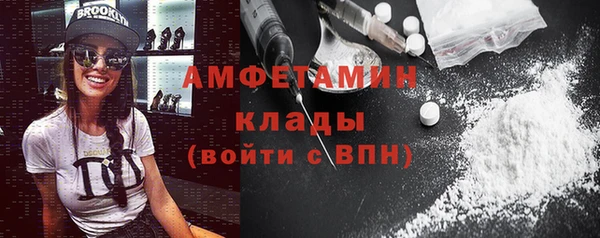 прущие грибы Аркадак
