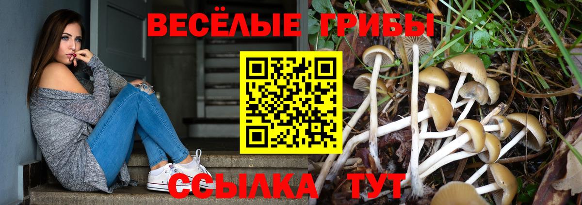 Псилоцибиновые грибы Magic Shrooms Нижний Новгород