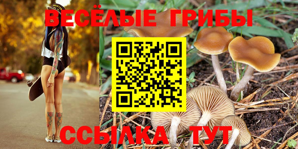Псилоцибиновые грибы MAGIC MUSHROOMS  Вход с VPN  Нижний Новгород 